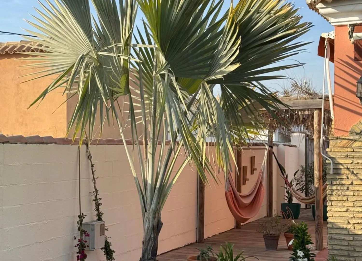チクラナ・デ・ラ・フロンテーラCasa Tropicalアパートメント 0*, チクラナ・デ・ラ・フロンテーラ